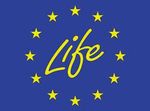 PROGRAMMA DI FINANZIAMENTI LIFE 2017-2020 - IL PROGRAMMA FINANZIAMENTI LIFE E LA VISIONE DEGLI ESPERTI PER L'AMBIENTE E PER IL CLIMA - RETIQA
