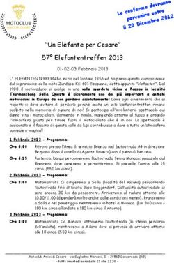 "Un Elefante per Cesare" 57 Elefantentreffen 2013
