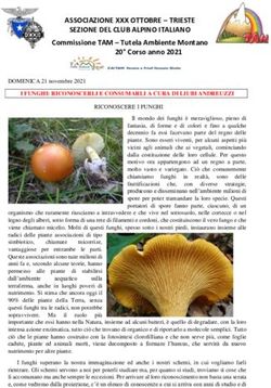 ASSOCIAZIONE XXX OTTOBRE - TRIESTE SEZIONE DEL CLUB ALPINO ITALIANO - Cai Trenta Ottobre