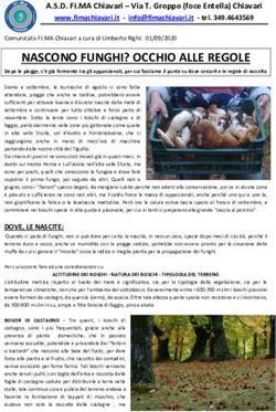 NASCONO FUNGHI? OCCHIO ALLE REGOLE - Levante News