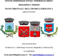 PIANO TRIENNALE DELL'OFFERTA FORMATIVA - ISTITUTO COMPRENSIVO STATALE "EDMONDO DE AMICIS" MEGLIADINO S. FIDENZIO - Istituto Comprensivo Megliadino