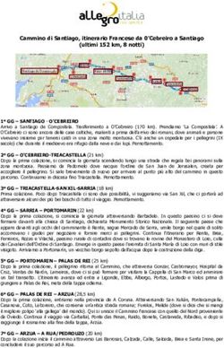 Cammino di Santiago, itinerario Francese da 0'Cebreiro a Santiago (ultimi 152 km, 8 notti)