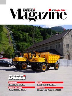 N 3 Luglio 2020 - JUNGFRAU Macchine di carattere - Dieci srl