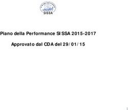 Piano della Performance SISSA 2015-2017 Approvato dal CDA del 29/01/15