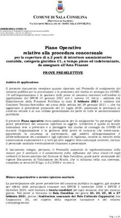 Piano Operativo relativo alla procedura concorsuale