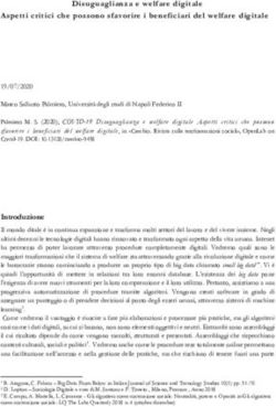 Disuguaglianza e w elfare digitale Aspetti critici che possono sfavorire i beneficiari del welfare digitale