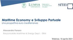Maritime Economy e Sviluppo Portuale - Una prospettiva euro-mediterranea Webinar, 16 aprile 2021