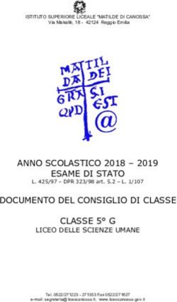 ANNO SCOLASTICO 2018 - 2019 ESAME DI STATO - Liceo Canossa