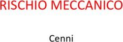 RISCHIO MECCANICO Cenni - UniTE