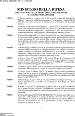 MINISTERO DELLA DIFESA - MINISTERO DELLA ...