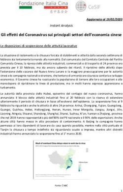 Gli effetti del Coronavirus sui principali settori dell'economia cinese