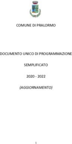 COMUNE DI PRALORMO DOCUMENTO UNICO DI PROGRAMMAZIONE SEMPLIFICATO - (AGGIORNAMENTO)