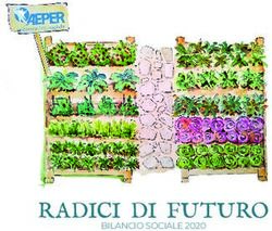 RADICI DI FUTURO BILANCIO SOCIALE 2020 - Cooperativa Sociale AEPER