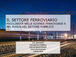 IL SETTORE FERROVIARIO - PECULIARITÀ NELLE AZIENDE FERROVIARIE E NEL RUOLO DEL SETTORE PUBBLICO - Unife