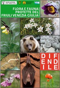 FLORA E FAUNA PROTETTE DEL FRIULI VENEZIA GIULIA - Comune di ...