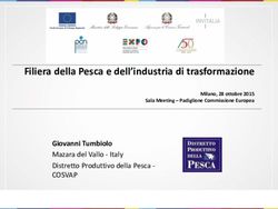 Filiera della Pesca e dell'industria di trasformazione - Milano, 28 ottobre 2015 Sala Meeting - Padiglione Commissione Europea - Research Italy