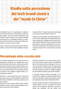 Studio sulla percezione dei tech brand cinesi e del "made in China" - TechNoodles