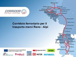 Corridoio ferroviario per il trasporto merci Reno - Alpi
