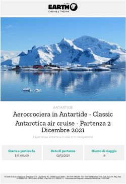 Aerocrociera in Antartide - Classic Antarctica air cruise - Partenza 2 Dicembre 2021 - Partenza 2 ...