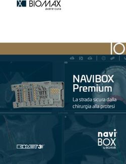 NAVIBOX Premium La strada sicura dalla chirurgia alla protesi - Biomax