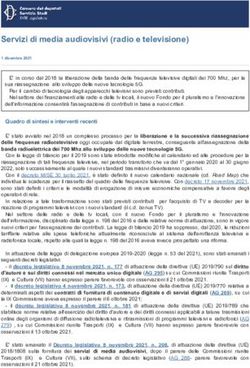 Servizi di media audiovisivi (radio e televisione) - Camera