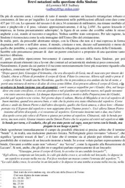 Brevi notazioni sulla questione della Sindone