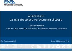 WORKSHOP La lotta allo spreco nell'economia circolare - Roberto Morabito ENEA - Dipartimento Sostenibilit&agrave; dei Sistemi Produttivi e Territoriali
