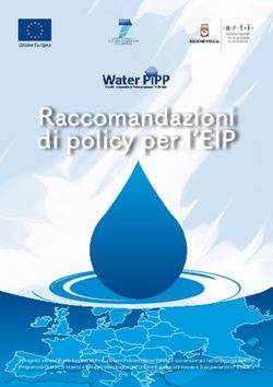 RACCOMANDAZIONI DI POLICY PER L'EIP - WATER PIPP