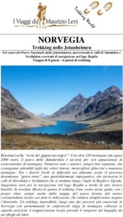 NORVEGIA Trekking nello Jotunheimen - I Viaggi di Maurizio ...
