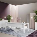 EXTRALIGHT executive collection - Prof Office