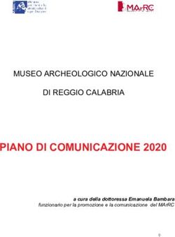PIANO DI COMUNICAZIONE 2020 - MUSEO ARCHEOLOGICO NAZIONALE DI REGGIO CALABRIA - a cura della dottoressa Emanuela Bambara