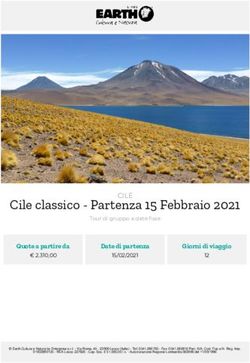 Cile classico - Partenza 15 Febbraio 2021 - CILE - Earth Viaggi