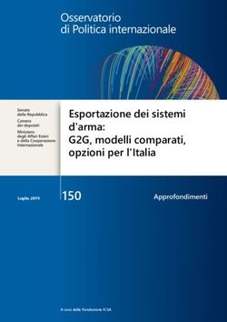 150 Esportazione dei sistemi d'arma: G2G, modelli comparati, opzioni per l'Italia
