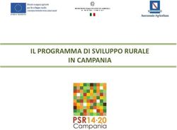 IL PROGRAMMA DI SVILUPPO RURALE IN CAMPANIA - ANCE AIES ...