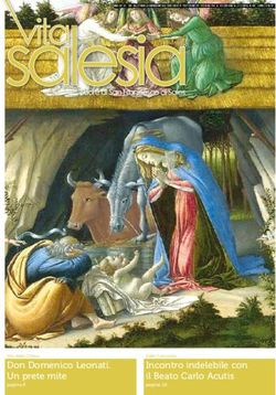 Don Domenico Leonati. Un prete mite