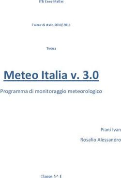 Meteo Italia v. 3.0 Programma di monitoraggio meteorologico Piani Ivan Rosafio Alessandro
