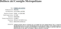 Delibere del Consiglio Metropolitano