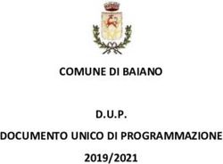 COMUNE DI BAIANO D.U.P. DOCUMENTO UNICO DI PROGRAMMAZIONE 2019/2021