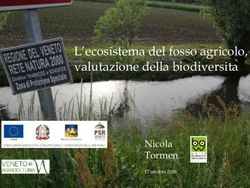 L'ecosistema del fosso agricolo, valutazione della biodiversita - Nicola Tormen 17 ottobre 2019 - Veneto Agricoltura