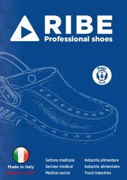 Professional shoes - Industria alimentare Industrie alimentaire Food industries - RIBE GROUP Logo
