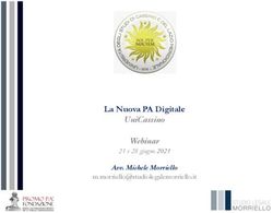 La Nuova PA Digitale UniCassino Webinar - Avv. Michele Morriello