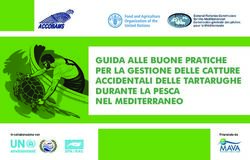 GUIDA ALLE BUONE PRATICHE PER LA GESTIONE DELLE CATTURE ACCIDENTALI DELLE TARTARUGHE DURANTE LA PESCA NEL MEDITERRANEO - Finanziato da