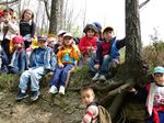 COMUNE DI RIMINI Direzione dei Servizi Educativi e di Protezione Sociale - PROGETTO NATURA