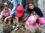 COMUNE DI RIMINI Direzione dei Servizi Educativi e di Protezione Sociale - PROGETTO NATURA