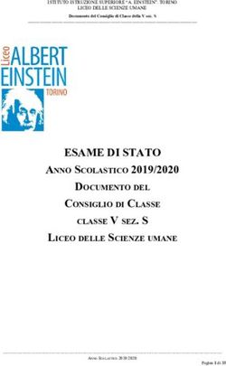 ESAME DI STATO A NNO S COLASTICO 2019/2020 - D OCUMENTO DEL C ONSIGLIO DI C LASSE - Liceo Albert Einstein Torino