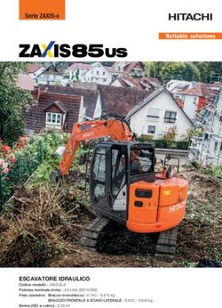 ESCAVATORE IDRAULICO - Scai Spa