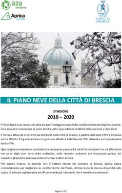 IL PIANO NEVE DELLA CITT&Agrave; DI BRESCIA - Comune di Brescia
