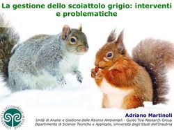 La gestione dello scoiattolo grigio: interventi e problematiche - Adriano Martinoli