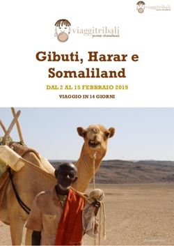 Gibuti, Harar e Somaliland - DAL 2 AL 15 FEBBRAIO 2019 VIAGGIO IN 14 GIORNI - Viaggi Tribali