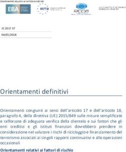 Orientamenti definitivi - Europa EU